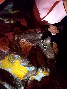 PPP 25 online show from 11.14.25