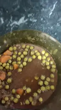 Snapshot of Loly2025 chatting on 02.22.25 Loly2025 online show from 02.22.25