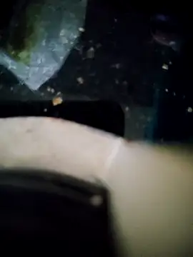 Snapshot of Loly2025 chatting on 11.15.25 Loly2025 online show from 11.15.25