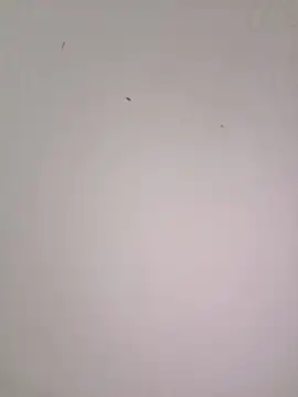 EmmaSulivan online show from 02.21.26