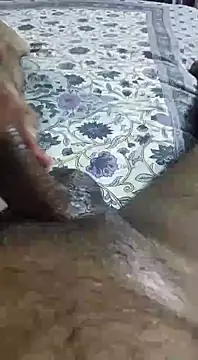 desi pb02 online show from 09.11.25