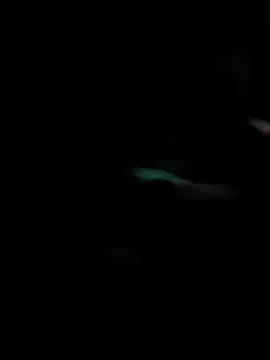 GoldenPastry20 online show from 02.09.26