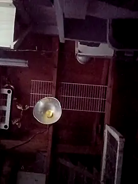 salchichon 69 online show from 03.31.26