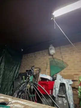 HTXBELLE online show from 03.13.26