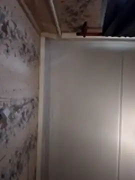 AliniX online show from 03.07.26