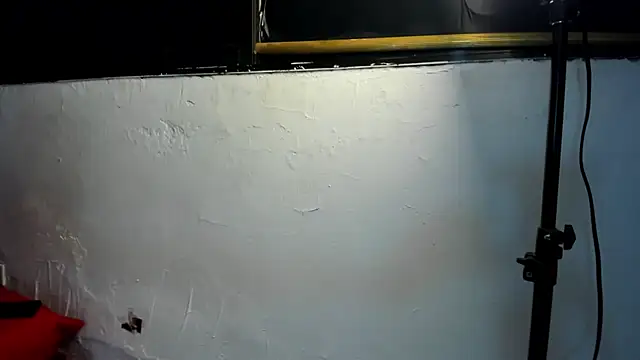 couple hotfox online show from 12.22.25