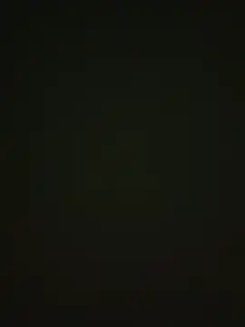 464a-err online show from 11.12.25