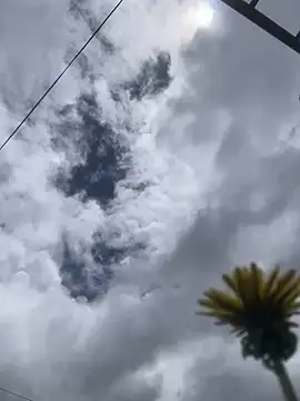 MaxxxSteil online show from 11.12.25