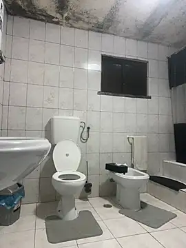 Snapshot of rogerdik76 chatting on 06.03.26 rogerdik76 online show from 06.03.26