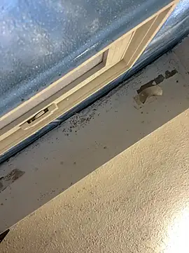 Snapshot of YODAPESOS chatting on 02.23.26 YODAPESOS online show from 02.23.26