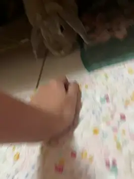 ladypaggy online show from 03.04.26