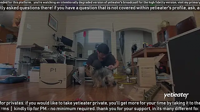 yetieater online show from 02.13.25