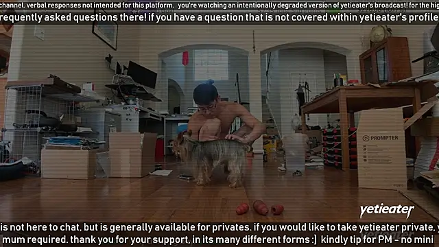 yetieater online show from 03.16.25