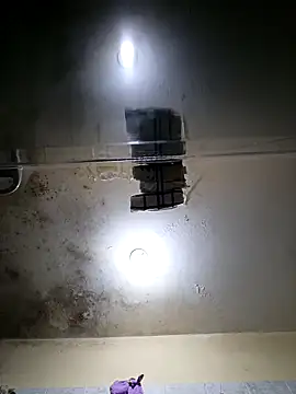 Pipilokito online show from 12.20.25