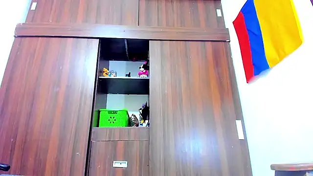 Dreamastercum  online show from 02.11.26