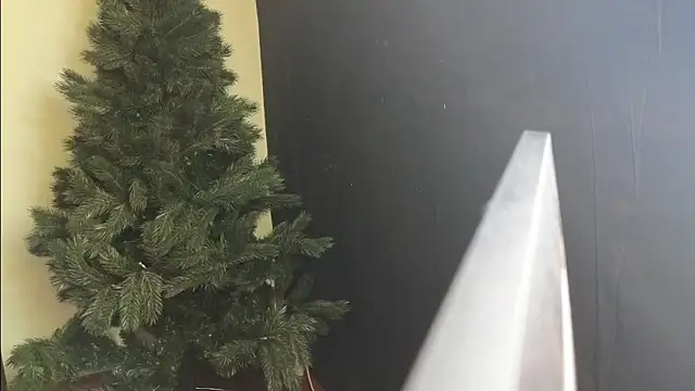 Maya Mayflower online show from 03.04.25