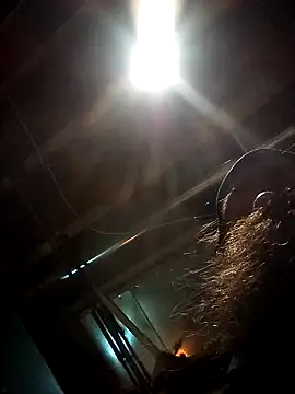 SirJonBradley online show from 09.19.25