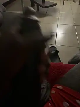 Snapshot of Goodball88 chatting on 02.28.26 Goodball88 online show from 02.28.26