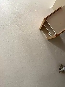 Snapshot of Flacovergon26 chatting on 01.14.26 Flacovergon26 online show from 01.14.26