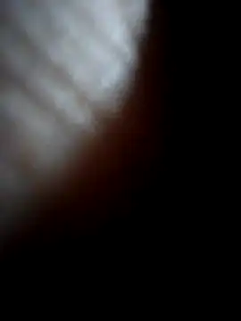 Sandra42 online show from 12.21.25