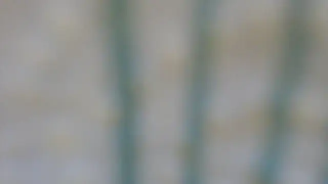 RobertaFox69 online show from 12.06.24