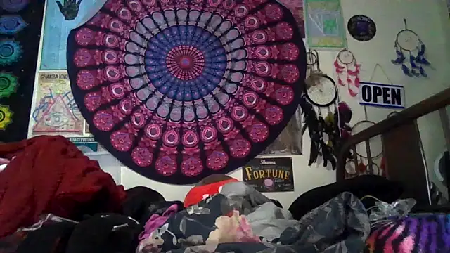 GardeniaFields online show from 02.24.26