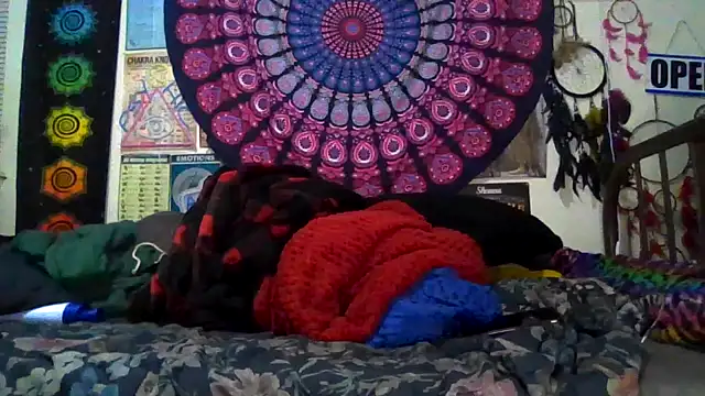 GardeniaFields online show from 03.08.26