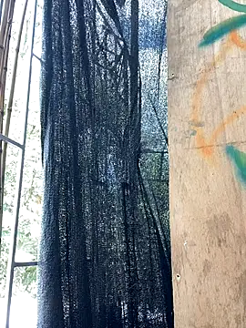 val zx online show from 09.10.25