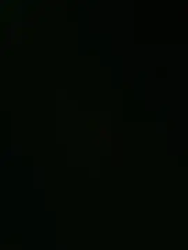 svenpfeifer online show from 01.16.26