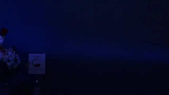 Amesthyst destiny online show from 03.22.25