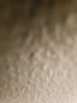 ikeike-kun online show from 04.08.26