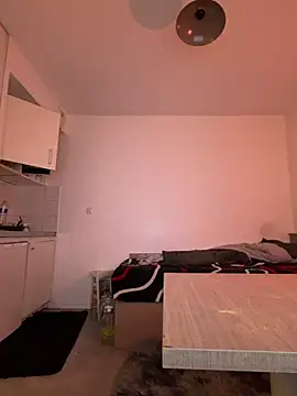 Snapshot of Renoirmonter chatting on 04.11.26 Renoirmonter online show from 04.11.26