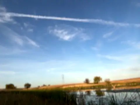 bwcizThrobbing online show from 10.22.25