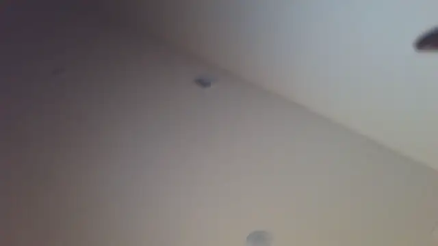 shurthingx online show from 04.14.26