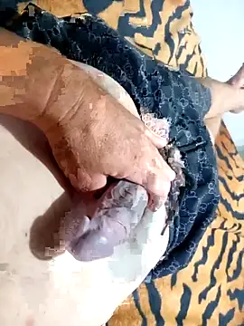 Dglo0000 online show from 11.30.25