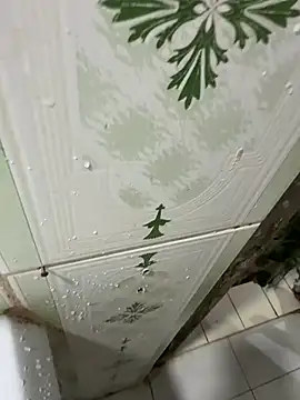 dilu98 online show from 12.18.25