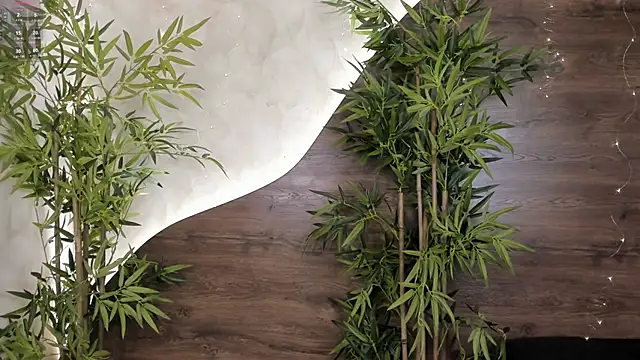 mia lacy  online show from 11.23.25