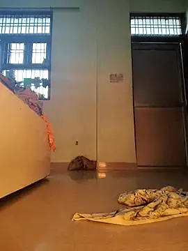 Desi Bhabi 01 online show from 02.01.26