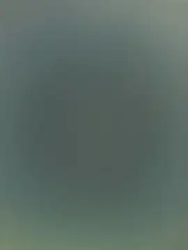 Alicia Montess online show from 12.19.25