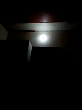 wildlkitten online show from 03.20.25