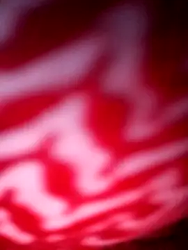 Snapshot of Hema0Hema chatting on 02.28.26 Hema0Hema online show from 02.28.26