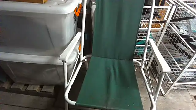 Lovyourpuss online show from 02.19.26