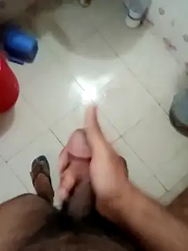 zim200 online show from 02.09.26