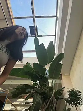 Ninazhang online show from 11.11.25