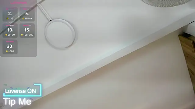 VICTORIAGRAYS online show from 11.29.25