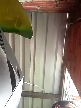 Snapshot of 527ca chatting on 04.04.26 527ca online show from 04.04.26