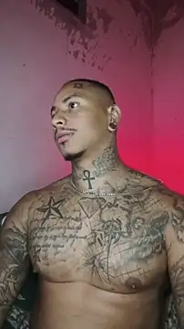 Snapshot of David_tatto1 chatting on 02.14.26 David tatto1 online show from 02.14.26