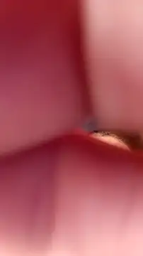 Fox Roxxan online show from 09.22.25