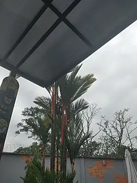 Yessica Lopezz online show from 03.05.26