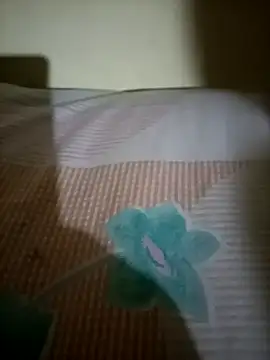 Snapshot of Nishi-2 chatting on 09.25.25 Nishi-2 online show from 09.25.25